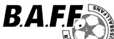 www.aktive-fans.de